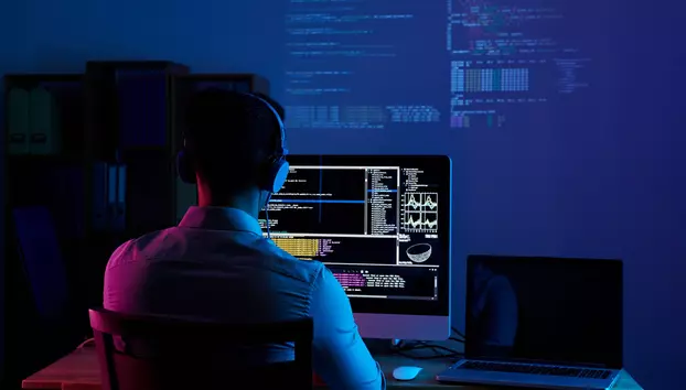 Exportăm servicii, dar producem puțină proprietate intelectuală. Soft-ul la comandă asigură 80% din cifra de afaceri a industriei IT