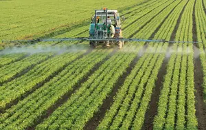 Fermierii români caută soluții pentru secetă. Noile tehnici genomice pot schimba agricultura 