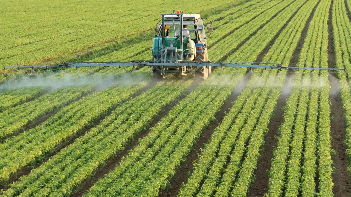 Fermierii români caută soluții pentru secetă. Noile tehnici genomice pot schimba agricultura 