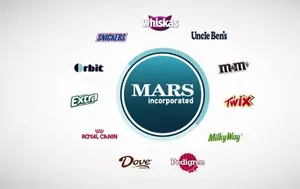 Mars își consolidează conducerea din România. Noul director a gestionat anterior 12 piețe internaționale