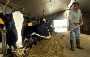 Aproape 27% dintre fermierii români au peste 70 de ani. Cât de fezabilă este reînnoirea generațiilor în agricultura locală