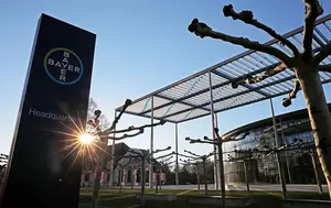 Bayer este acuzată că a monopolizat piața americană a semințelor de porumb modificat genetic. Gigantul respinge acuzațiile