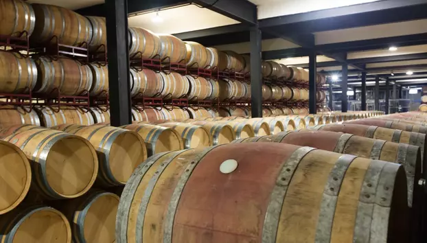 Producția de vin a Franței scade la minimul ultimilor aproape 70 de ani. Canicula și seceta lovesc podgoriile
