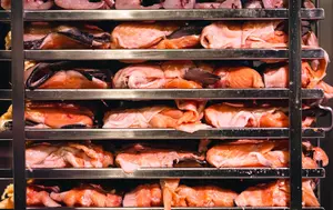 România a produs peste 53.000 de tone de carne de pasăre într-o singură lună. Sectorul avicol rămâne motorul industriei cărnii