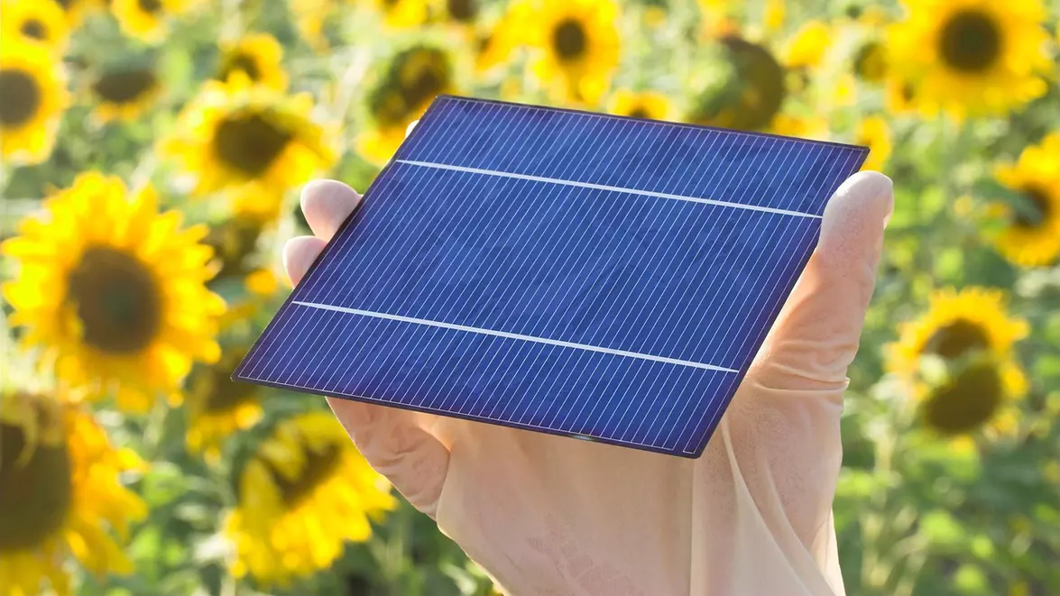 Cooperativele agricole vor să-și producă singure energia. 77 de structuri se pregătesc să devină „comunități energetice”