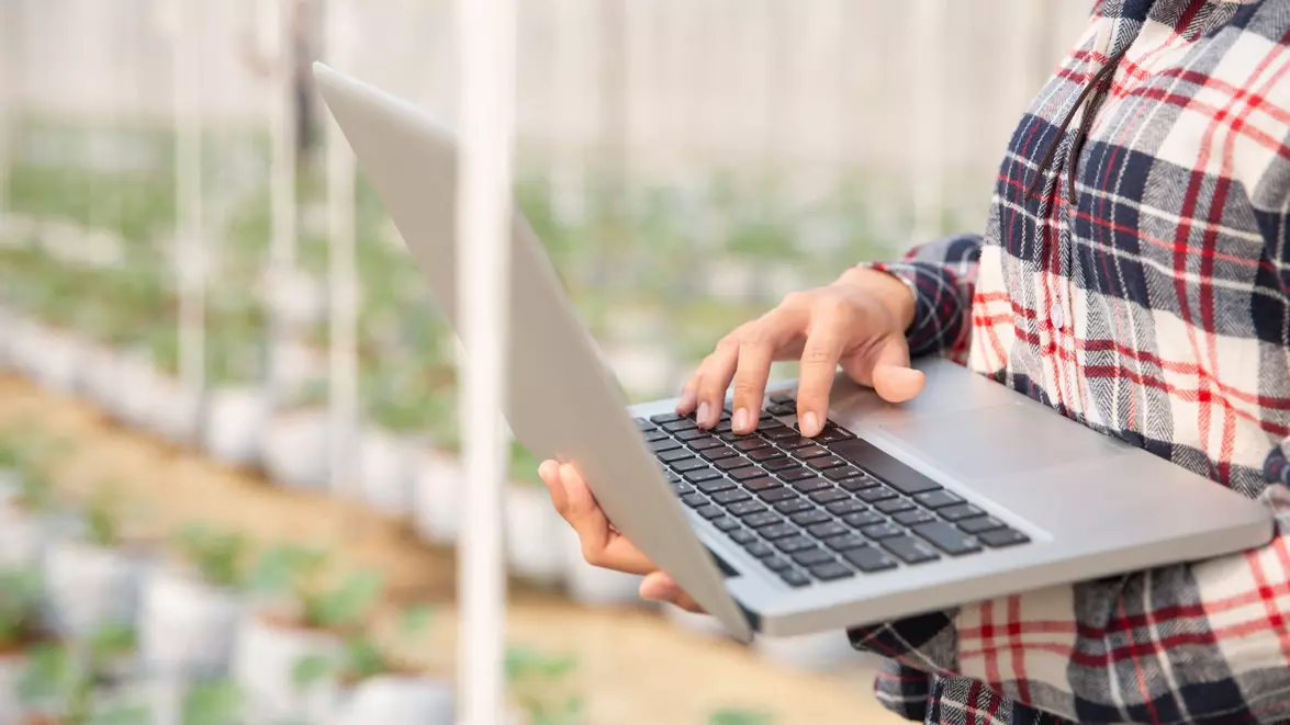 Guvernul aprobă rețeaua de date agricole finanțată cu 3,5 milioane de euro. Sistemul va deveni operațional în anul următor