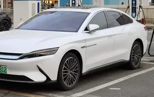 BYD se bucură de succes și fără piața SUA. Unde câștigă teren chinezii?