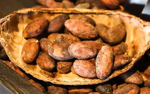 Prețul boabelor de cacao a scăzut cu aproape 70%, dar ciocolata rămâne scumpă. Producătorii pregătesc reduceri, dar numai la anumite produse