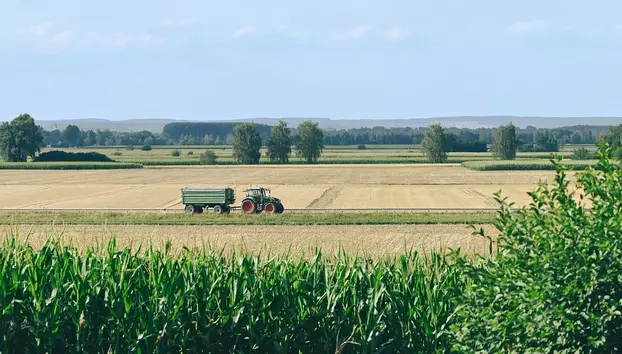 Costurile fermierilor au crescut cu 300% din 2007. Agricultura cere statut strategic pentru România până în 2034