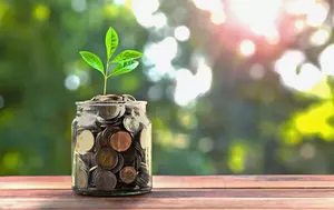 La educație financiară, România este pe locul 35 din 40 de țări analizate. Polonia are un model mai integrat