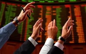 Ce este bull market și bear market. Termenii descriu marile perioade de creștere și scădere ale bursei