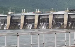 Hidroelectrica extinde proiectul „Nufărul”. Parcuri fotovoltaice flotante de 90 MW pe Oltul Inferior, cu stocare de 800 MWh