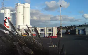 Holcim poate prelua Xella, dar cu o condiție. Fabrica de BCA din Adjud trebuie vândută