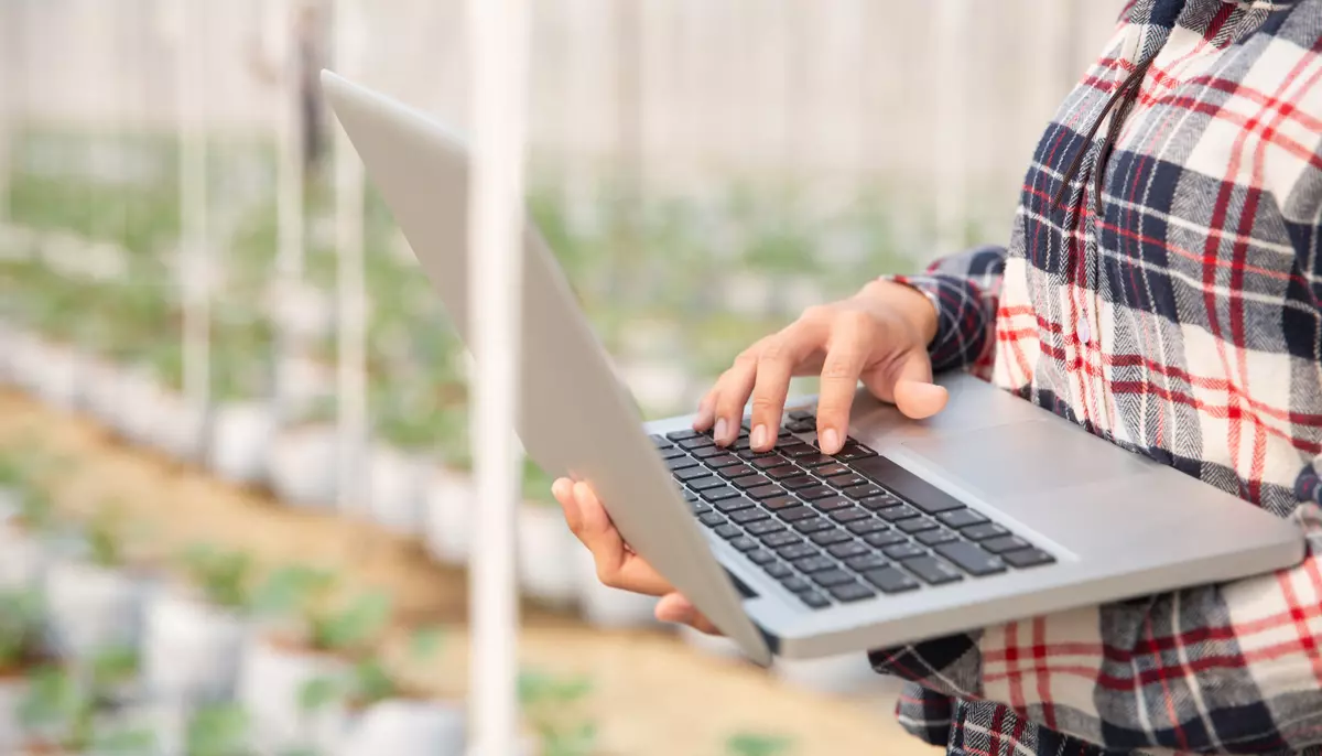 Guvernul aprobă rețeaua de date agricole finanțată cu 3,5 milioane de euro. Sistemul va deveni operațional în anul următor