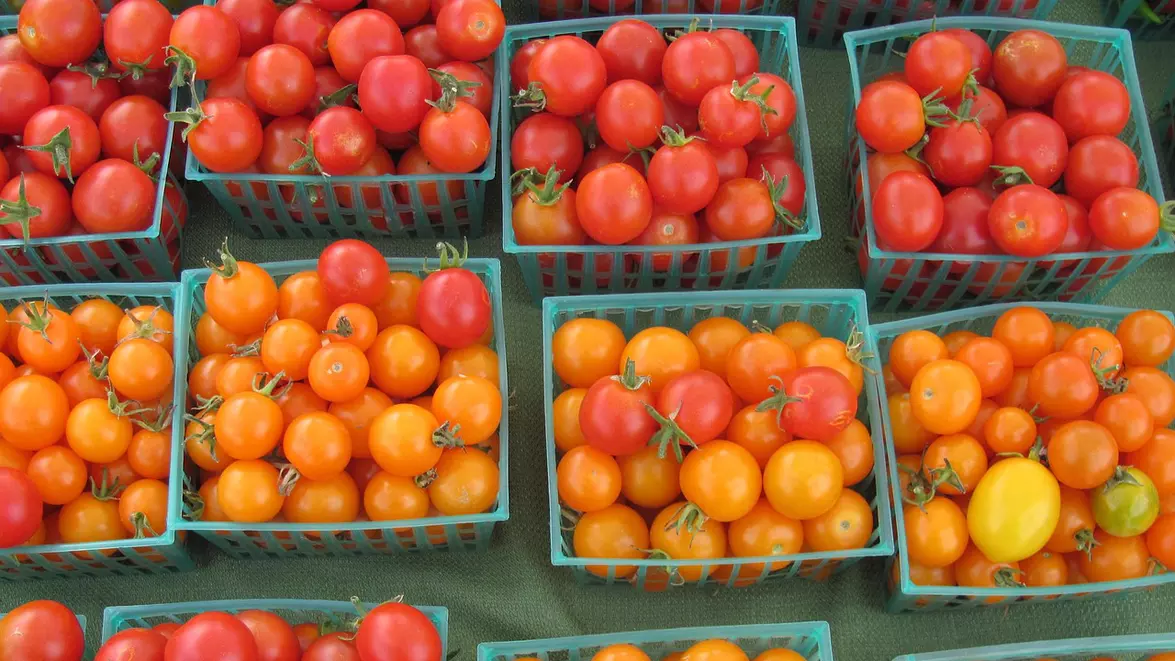 Sezamo caută fermieri la 80 km de București de la care să ia marfă proaspătă. Supermarketul online vrea livrarea produselor în 6 ore