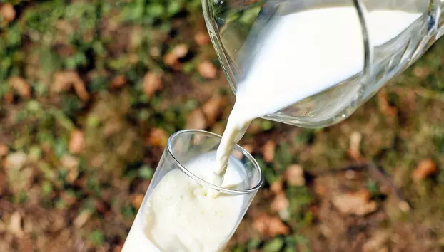 România produce 4,4 milioane tone de lapte, dar importă lactate de 1 miliard euro. Doar o treime din producția internă se procesează